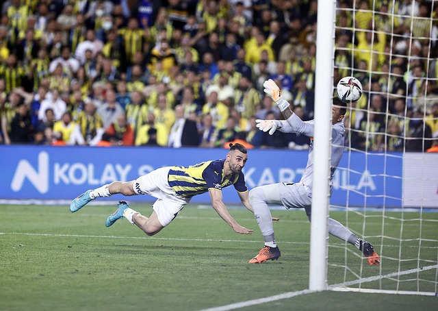 一位球员可 一位球员可