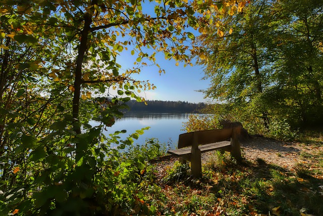 员的能力可 员的能力可